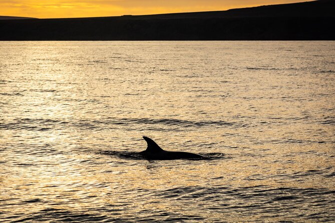 Small Group Dolphin Sunset Tour on Electric Catamaran Lanzarote - Sunset views from Playa Quemada to Femés