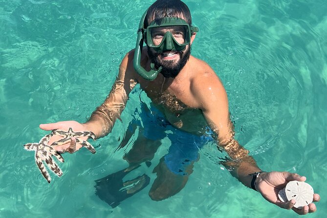 Snorkel & Dolphin Sightseeing Tour Aboard the Footloose - Dolphin watching in the Gulf