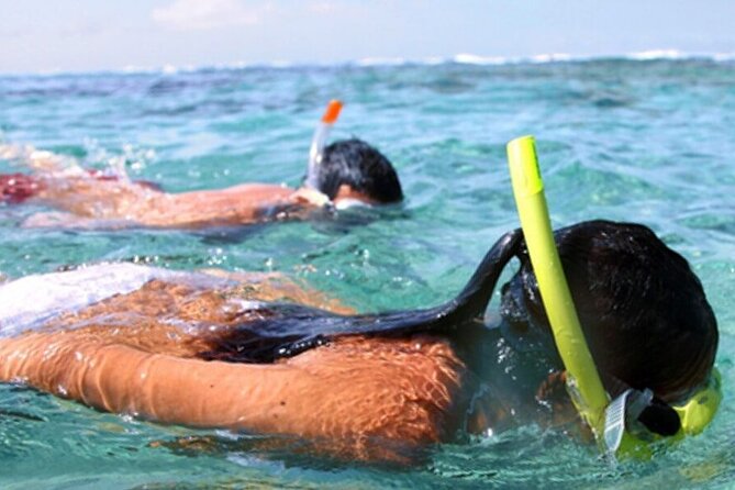 Snorkel & Dolphin Sightseeing Tour Aboard the Footloose - Group size and comfort aboard the catamaran