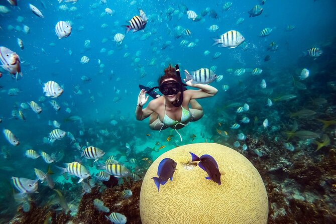 Snorkeling and Swimming on a Caribbean Cruise by Sharky Catamarans - Lunch arrives from a food truck on the water