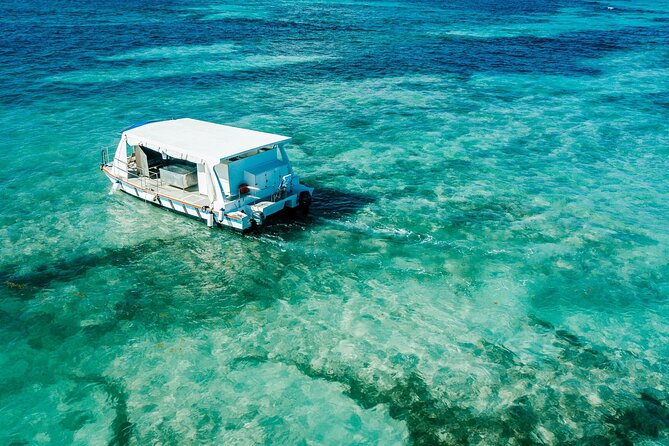 Snorkeling and Swimming on a Caribbean Cruise by Sharky Catamarans - Weather, timing, and the small details that matter