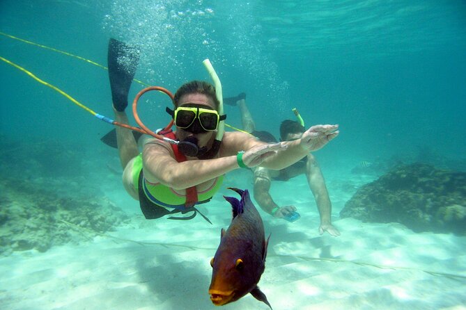 Snuba Snorkelking Parasailing and Catamaran Pack - Snuba: the main reason many people book