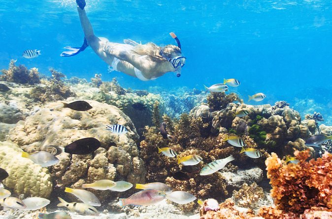 Snuba Snorkelking Parasailing and Catamaran Pack - Parasailing above the Punta Cana coast