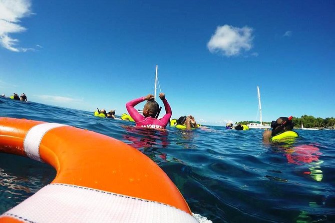 Sosua Catamaran Excursion - Two reef stops, with different snorkeling quality