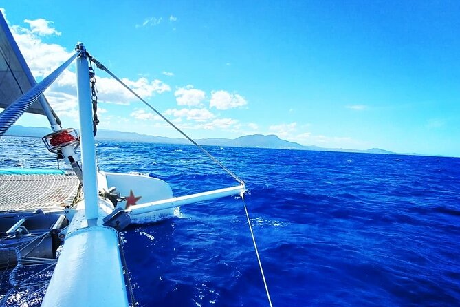 Sosua Catamaran Excursion - Two reef stops before lunch