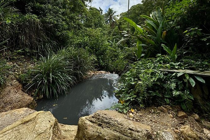 Soufriere Catamaran Excursion & Sapphire Falls Hike - Hiking to Sapphire Falls in Soufriere