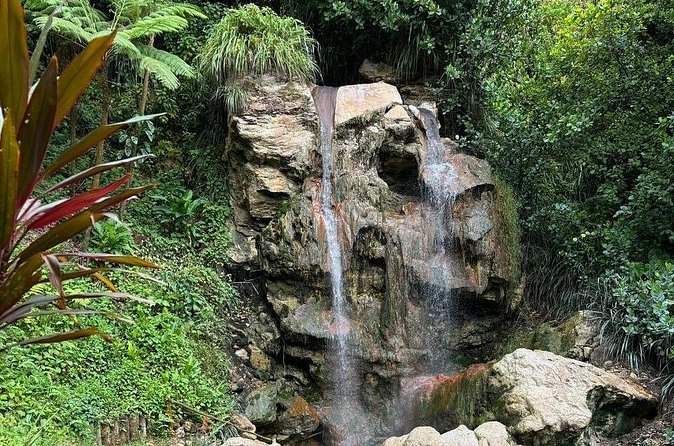 Soufriere Catamaran Excursion & Sapphire Falls Hike - Anse Cochon for swimming and snorkeling