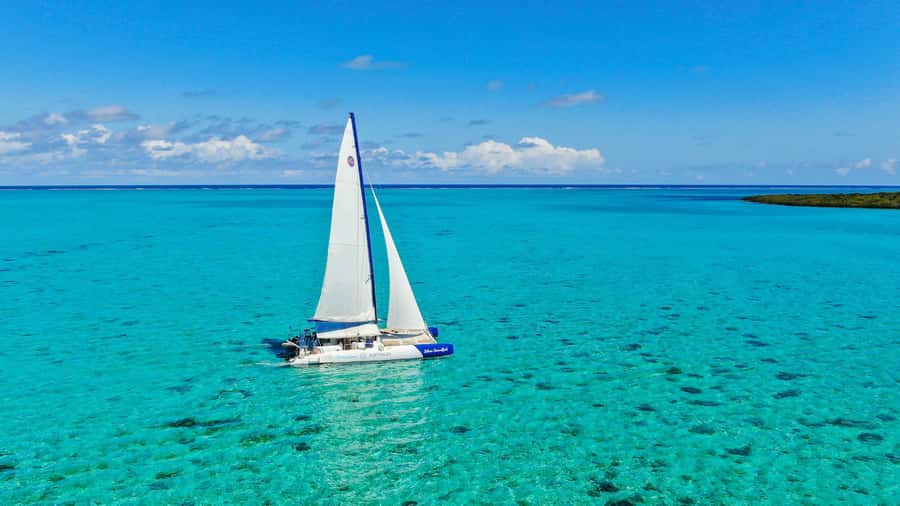 Southeast of Mauritius: Catamaran Cruise w/ BBQ Lunch - Grand River Southeast and Its Riverbank Wildlife