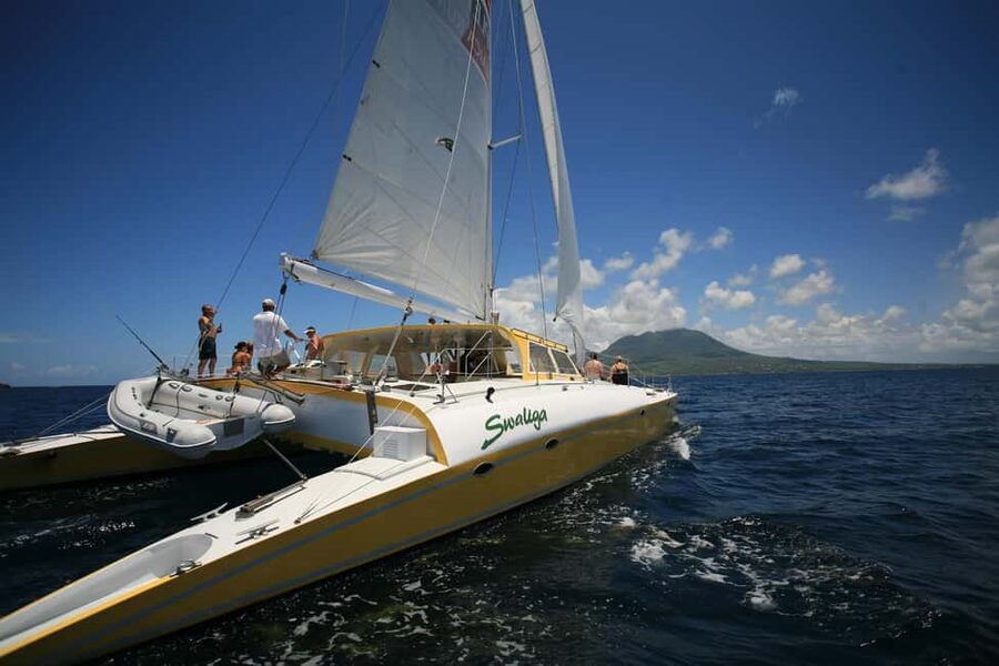 St. Kitts Full-Day Catamaran Cruise to Nevis - Snorkeling over rocky underwater habitat