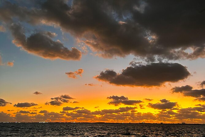 Stingray City Catamaran Sunset Tour - What happens at Stingray City