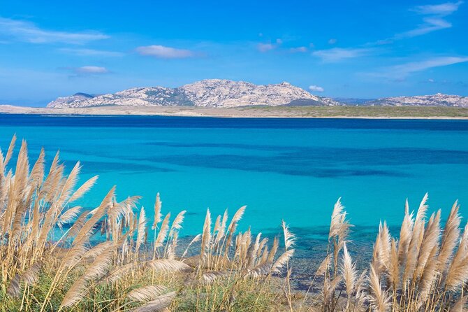 Stintino Half Day Catamaran Tour to La Pelosa with Aperitif - Who will enjoy this catamaran trip most?