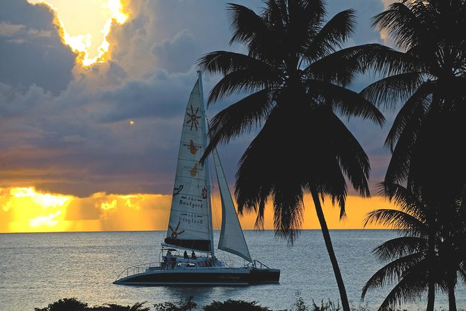 Sunset Catamaran and Snorkeling Cruise At Carlisle Bay - Key points to know