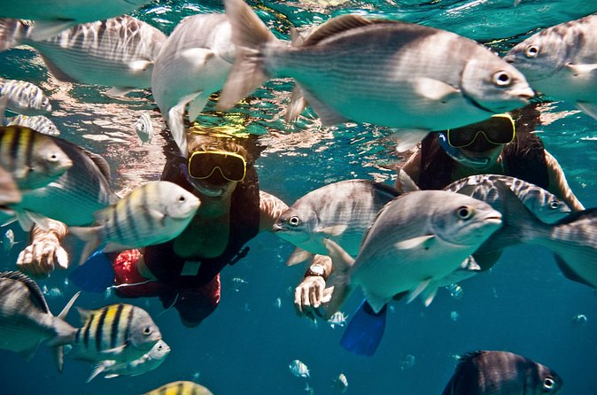 Sunset Catamaran and Snorkeling Cruise At Carlisle Bay - Dinner arrives as the light changes