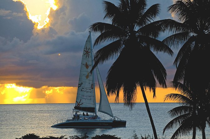 Sunset Catamaran and Snorkeling Cruise At Carlisle Bay - What the $124.33 price includes