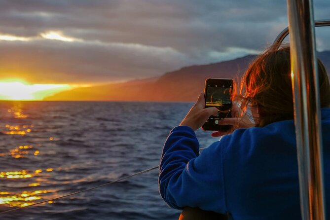 Sunset Catamaran Tour l Madeira Island - Key points to know before you book