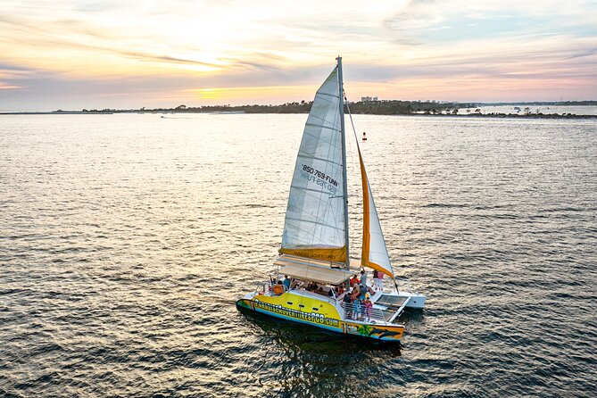 Sunset Dolphin Sail Aboard the Footloose Catamaran - Watching for dolphins along the Gulf