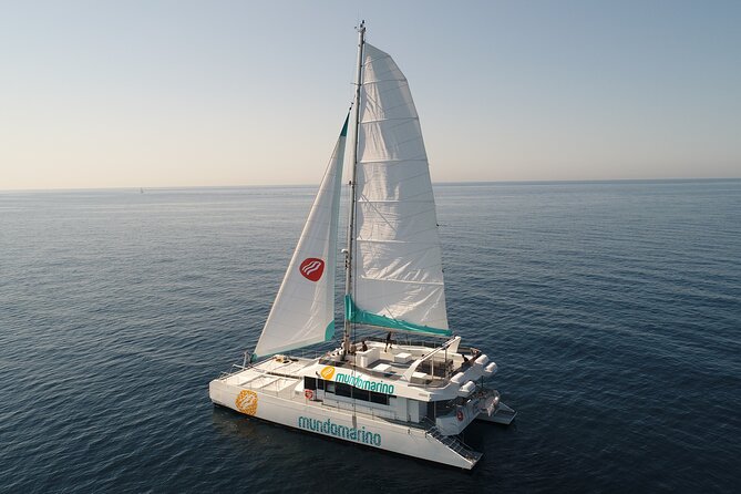 Sunset or night catamaran tour from Malaga - My practical booking advice