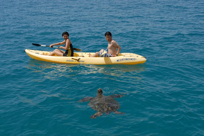 Swim with Dolphins Catamaran with Waterslide & Lunch on Oahu - Makaha brings turtles, reef fish, and a long list of water play