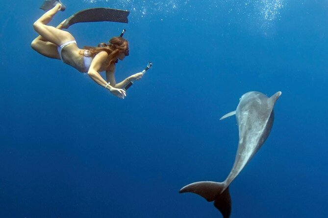 Swim with Dolphins Catamaran with Waterslide & Lunch on Oahu - The boat ride and seasickness question