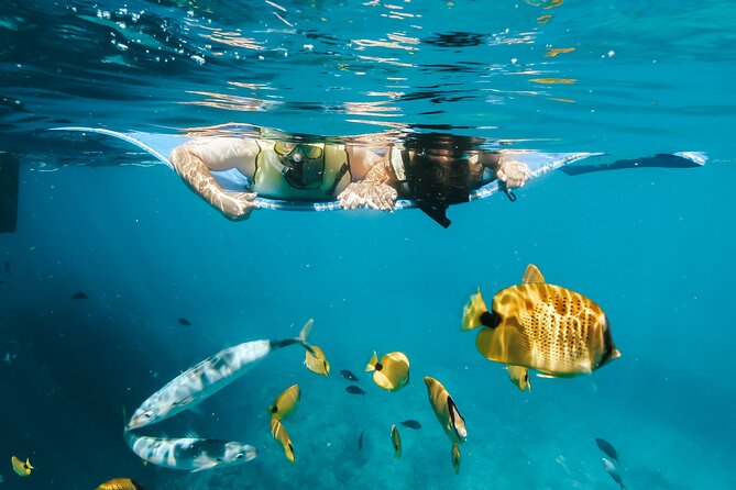 Swim with Dolphins Catamaran with Waterslide & Lunch on Oahu - Searching for spinner dolphins along Oahu’s west coast