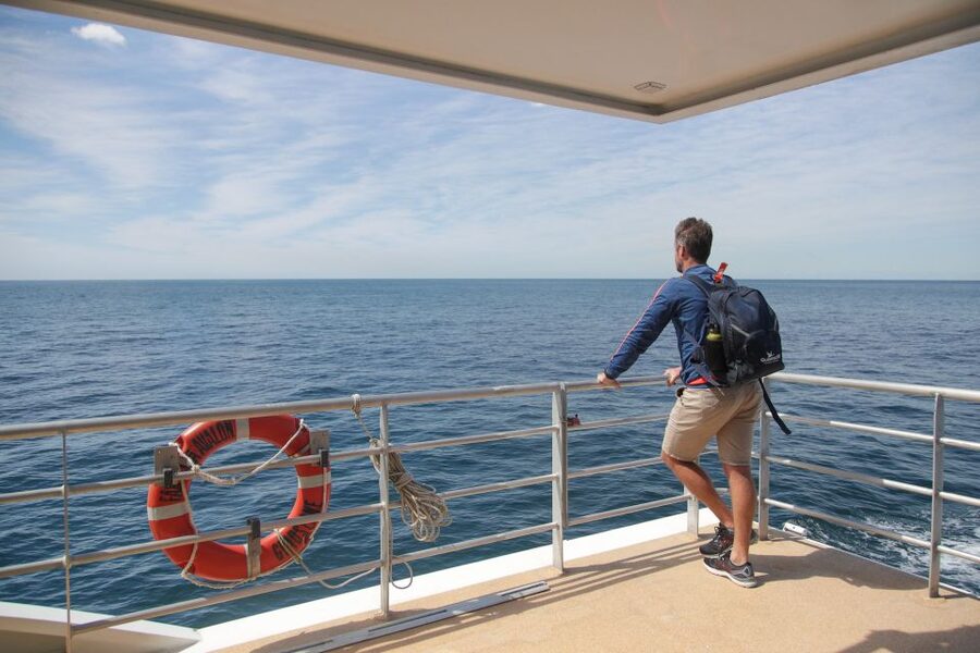 Sydney: Discovery Whale Watching Tour by Catamaran - Choosing the best place to watch from