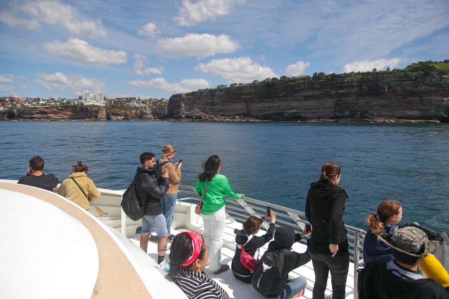 Sydney: Discovery Whale Watching Tour by Catamaran - Rough seas and seasickness