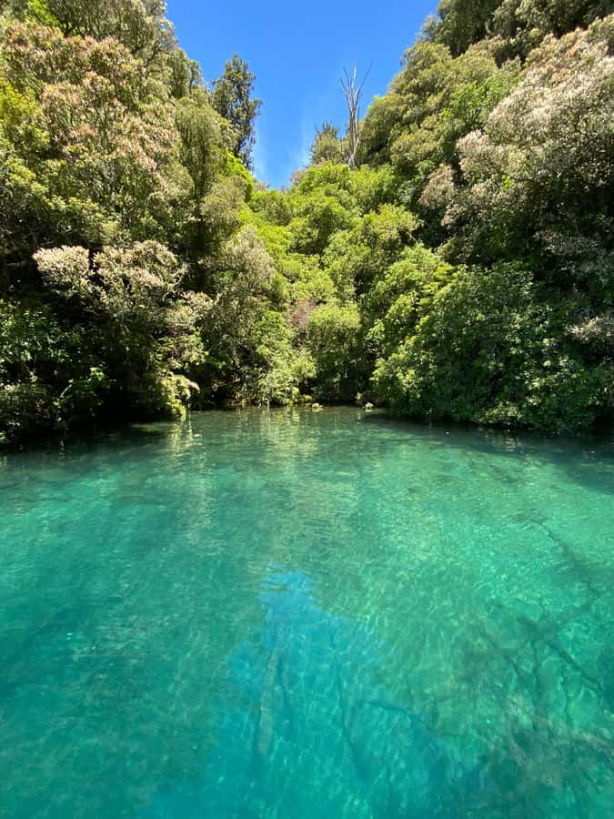 Taupo: Lake Taupo Western Bays Catamaran Tour with Bush Walk - My verdict on the Western Bays catamaran tour