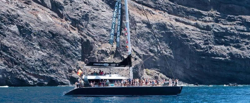 Tenerife: Catamaran Cruise with an Open Bar - Key points to know before boarding