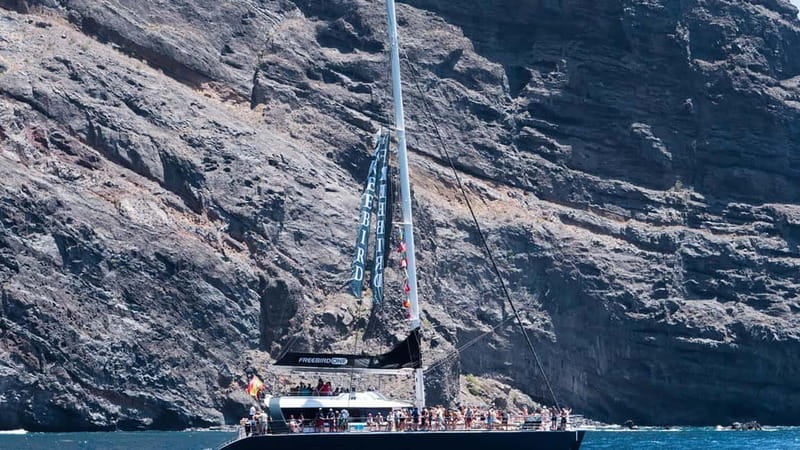 Tenerife: Catamaran Cruise with an Open Bar - Boarding the Freebird catamaran