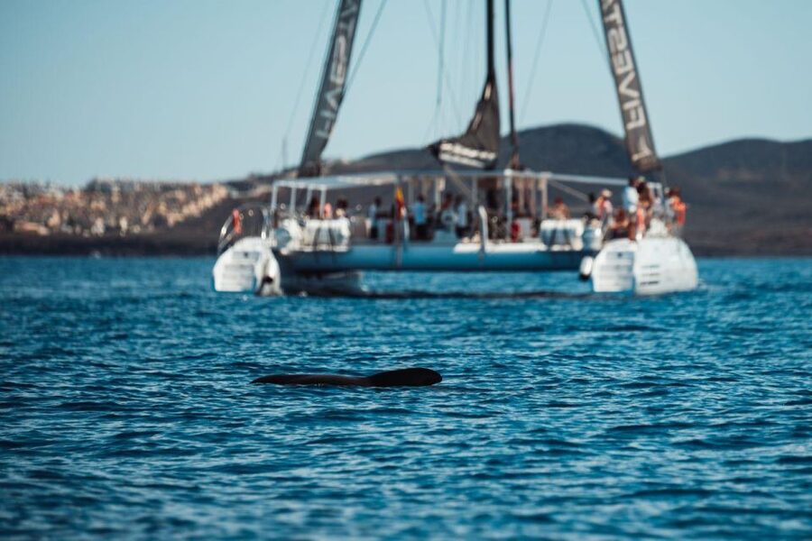 Tenerife: Catamaran Cruise with Brunch and Unlimited Drinks - What you actually eat on board
