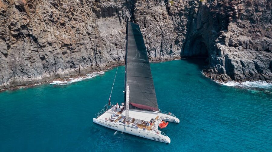 Tenerife: Catamaran Cruise with Brunch and Unlimited Drinks - Wildlife watching at Punta Rasca