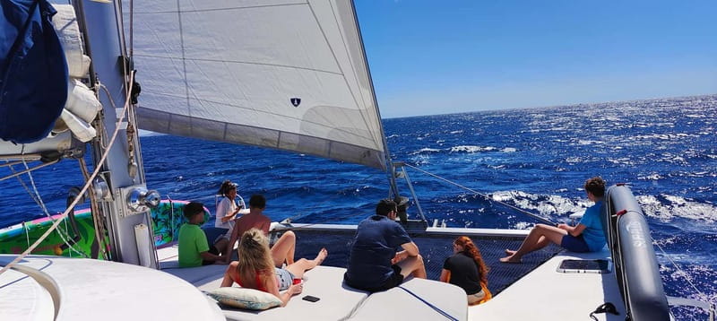 Tenerife: PRIVATE Catamaran cruise with Lunch and Drinks - The 45-minute cruise and what to watch for