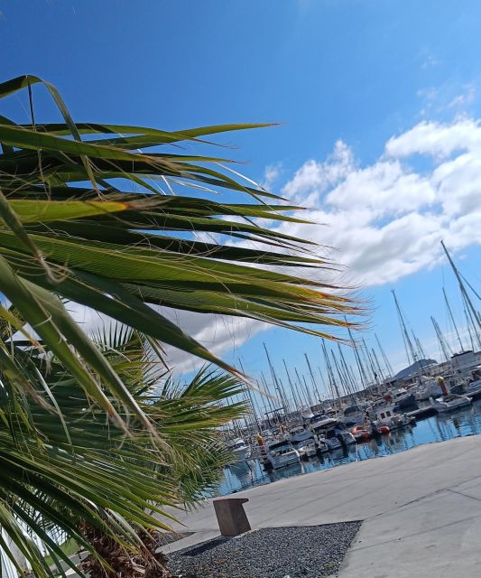 Tenerife: PRIVATE Catamaran cruise with Lunch and Drinks - Who should book this catamaran