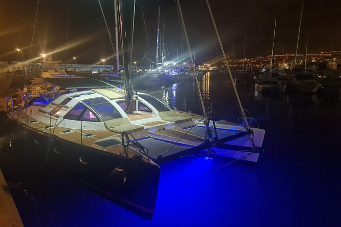 Tenerife Whales and Dolphins Watching Experience in Catamaran - Three miles offshore in search of whales