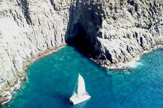 Tenerife Whales and Dolphins Watching Experience in Catamaran - A swim stop in a coastal cove