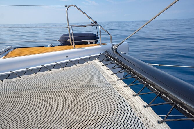 Tenerife Whales and Dolphins Watching Experience in Catamaran - Coastal views and photo opportunities