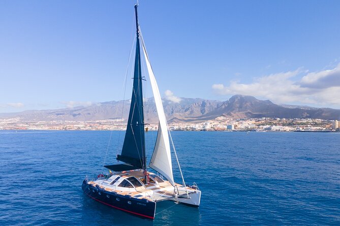 Tenerife Whales and Dolphins Watching Experience in Catamaran - Is $68.98 a fair price?