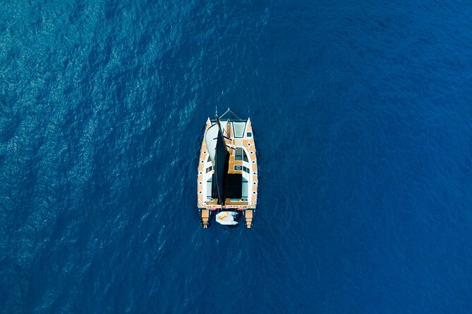 Tenerife Whales and Dolphins Watching Experience in Catamaran - Who will enjoy this catamaran most?
