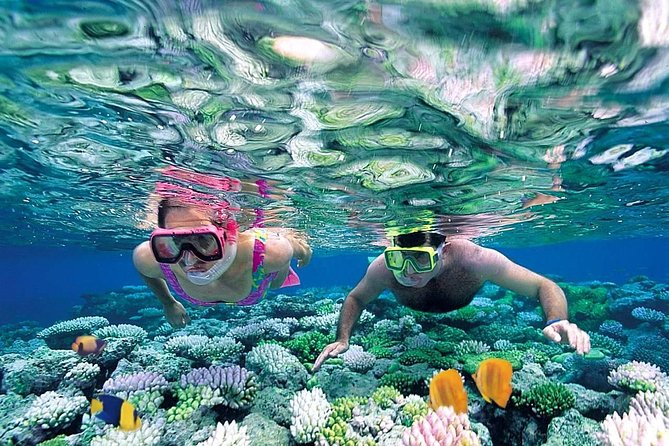 The Best Catamaran Tour to Isla Mujeres from Cancún - Music and the Ride Back to Cancún