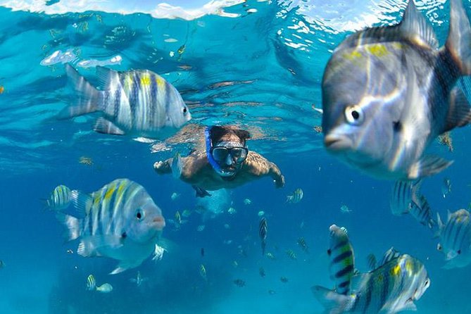 The Best Catamaran Tour to Isla Mujeres from Cancún - Is the $68 Price a Good Deal?