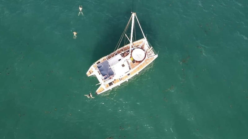 Torrevieja: Catamaran cruise and sunset with swimming - Swimming near Torrevieja’s coves