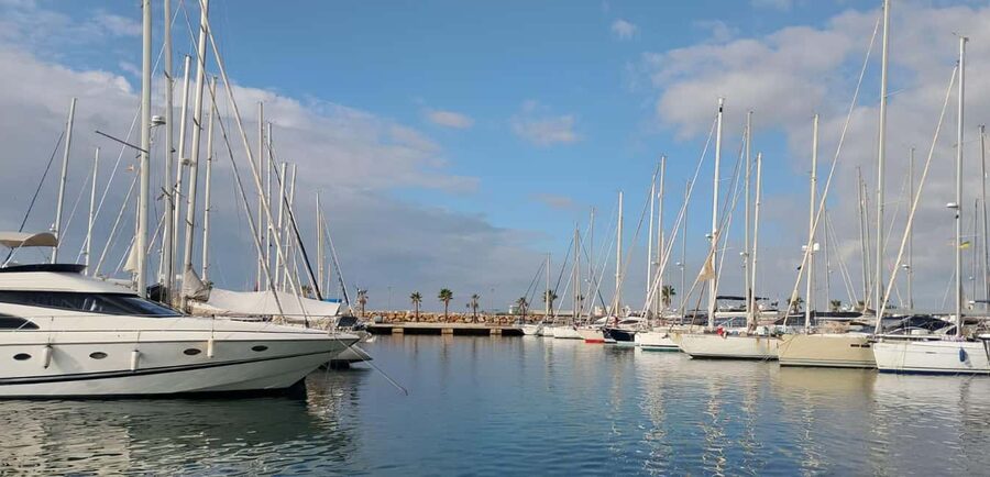 Torrevieja: Tour the harbor with the catamaran Apaleo - The fishing port and Torrevieja’s working side