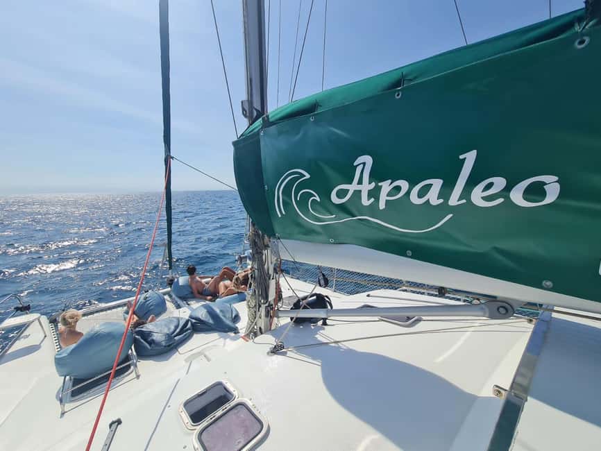 Torrevieja: Tour the harbor with the catamaran Apaleo - A front-row view of Torrevieja’s yacht harbor