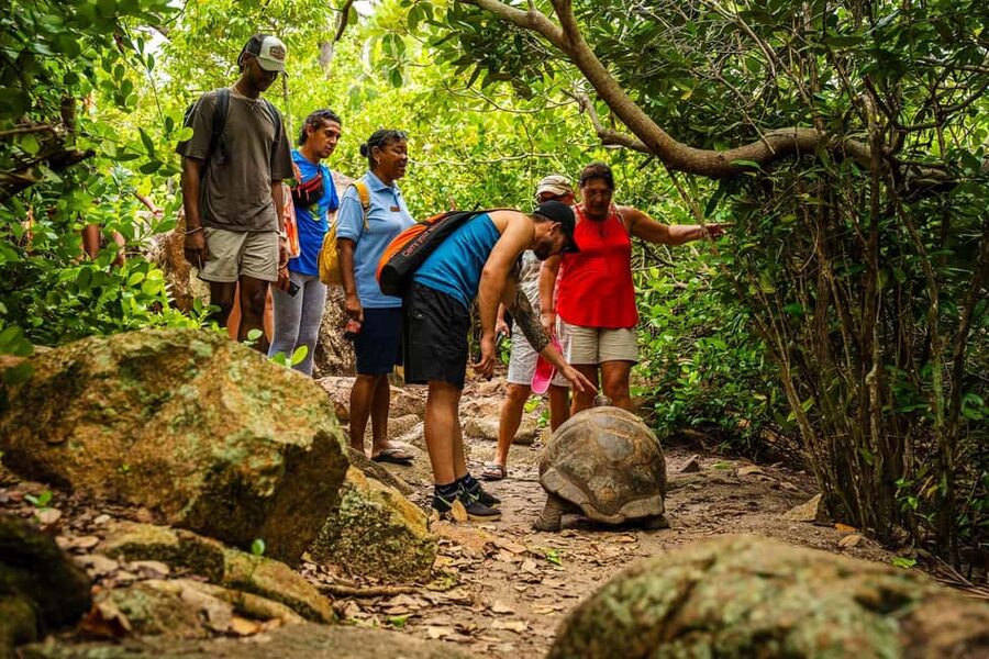 Tour of Cousin, Curieuse and St Pierre island on Catamaran - Who will enjoy this day most?