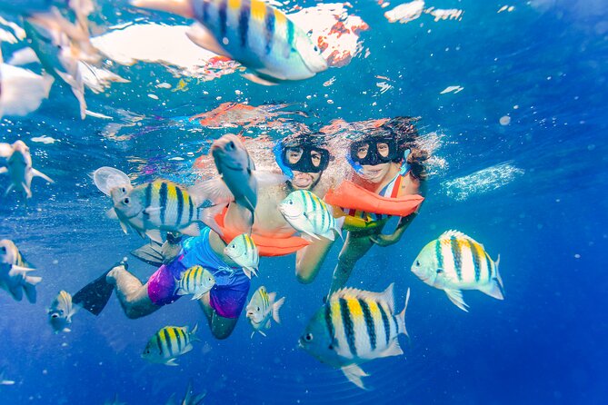 Trip to Isla Mujeres by Catamaran, with snorkeling and drinks - What the Price Really Means