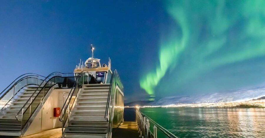 Tromsø: Aurora Dinner Cruise by Hybrid-Electric Catamaran - A dinner cruise with the Arctic sky as your backdrop