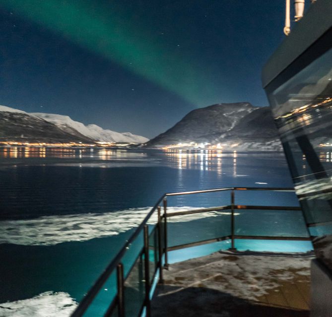 Tromsø: Aurora Dinner Cruise by Hybrid-Electric Catamaran - Should you book the Tromsø Aurora Dinner Cruise?