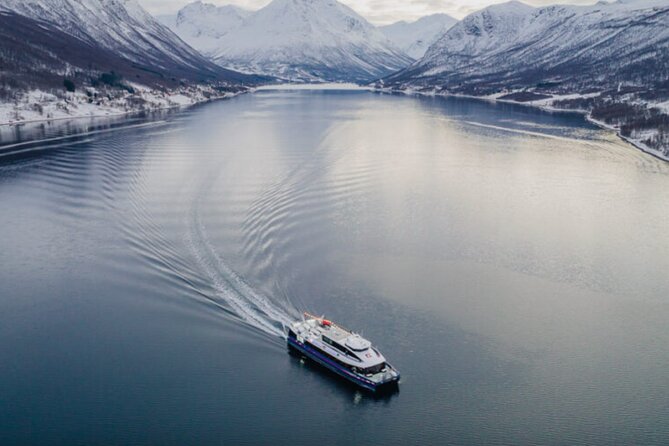 Tromsø, Northern Lights and Wilderness Evening Catamaran Cruise - The biggest issue: a boat cannot chase weather like a road vehicle