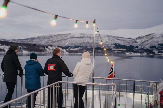 Tromsø, Northern Lights and Wilderness Evening Catamaran Cruise - The Northern Lights guarantee, with important limits