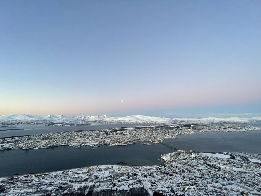 Tromso: Sightseeing Cruise by Catamaran with Snacks & Drinks - Key points at a glance